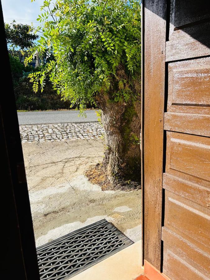 Mae Home Carril Caldas Da Rainha Luaran gambar